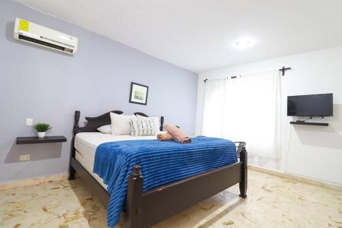 Cozy King Bed Room in the Heart of the City in Playa del Carmen, Mexico