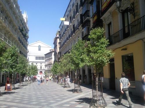 Madrid Sol Home, Madrid (photo 4)