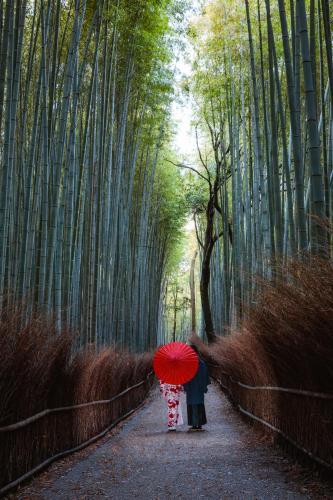 ที่เที่ยวใกล้ที่พัก, Mulan Stay Saga Arashiyama in เกียวโต
