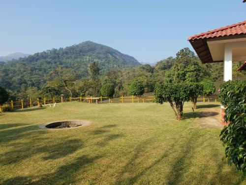 Tropical Blooms by StayApart in กุตตา