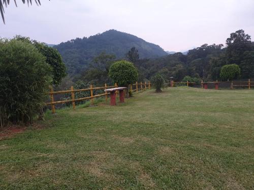 Tropical Blooms by StayApart in กุตตา