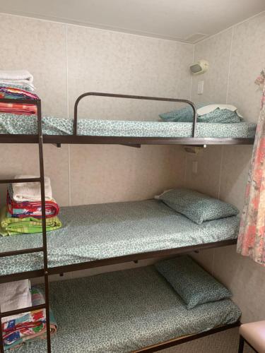 Standard Family Room image 2