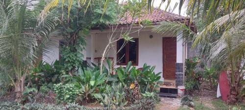 Kambuna Bungalow in Parc National Bukit Barisan Selatan