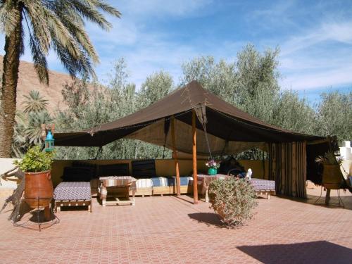 棕榈树宾馆 棕榈树宾馆