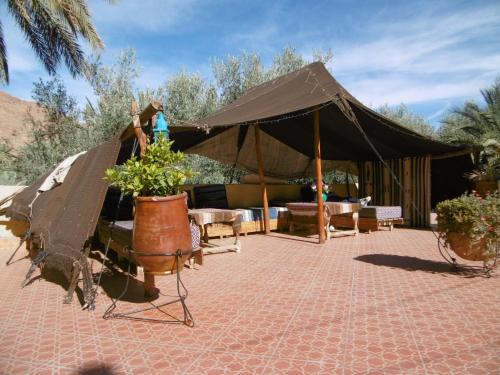 棕榈树宾馆 棕榈树宾馆