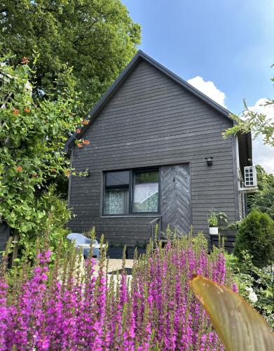 Amazing little house on an island with garden, Riga (foto 6)