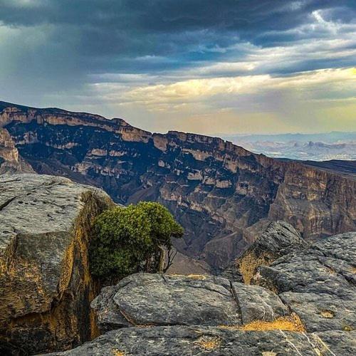 . الانوار للغرف الفندقية ALanwar