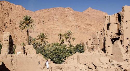 棕榈树宾馆 棕榈树宾馆