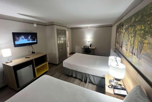 Habitación doble, accesible