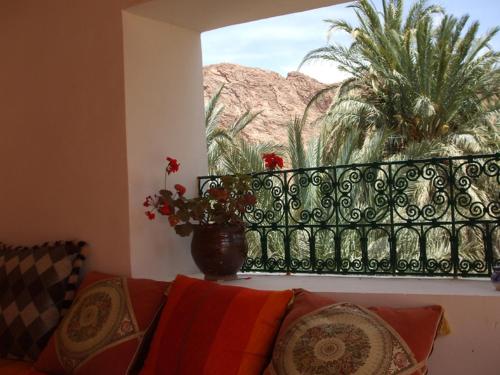 棕榈树宾馆 棕榈树宾馆