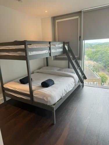 Two Br Flat in Britannia Point BP65, Londyn