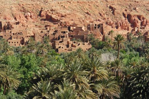 棕榈树宾馆 棕榈树宾馆