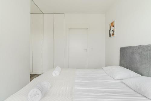 ShortStayPoland Naruszewicza (B77) - image 6