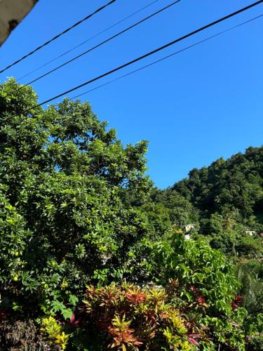 Tranquil inn in Saint Paul