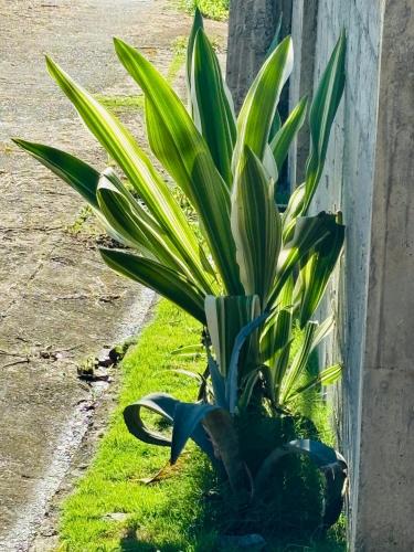 Tranquil inn in Saint Paul