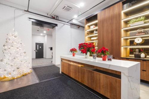 Central 2BR Near Brown, Dining, Hospital, Nurses in Providence, USA