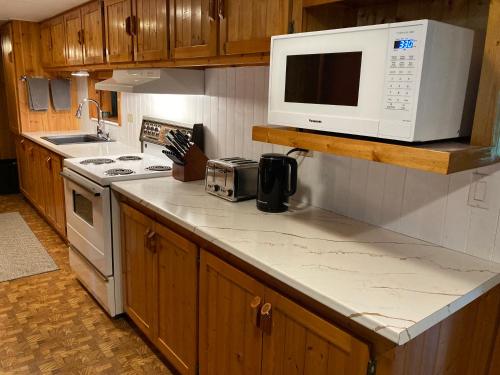 Cozy Pet Friendly Getaway W Fireplace in Red Bay (ON)