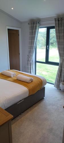 596030217 Great Trethew Manor Hotel & Self Catering Lodges