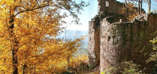 Közeli látványosságok, Ferienwohnung Zur Altach in Zeil am Main