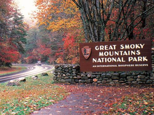 Smoky Mountain Romance Holiday home - image 13
