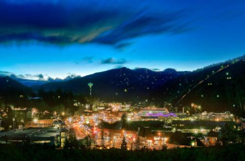 Smoky Mountain Romance Holiday home - image 10
