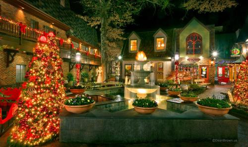 Smoky Mountain Romance Holiday home - image 12