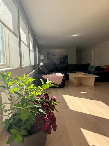 Villa by birches in Forshaga