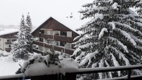 Apartment Bergblick 2 in Sankt Johann in Tirol, Österreich