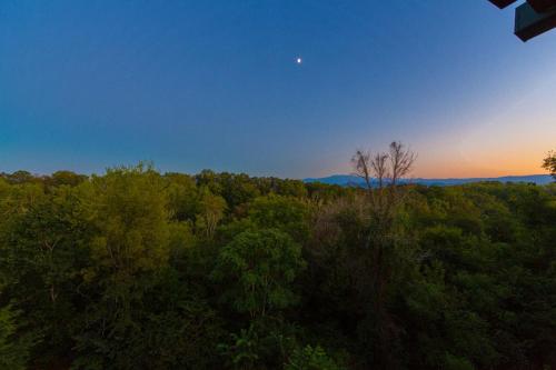 Elk Lodge in Pigeon Forge, USA