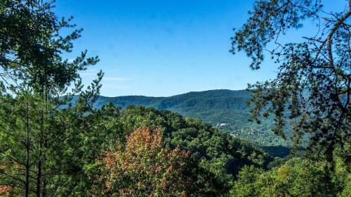 Mountain Mist Relaxing 2BR, Near Pigeon Forge in Sevierville, USA
