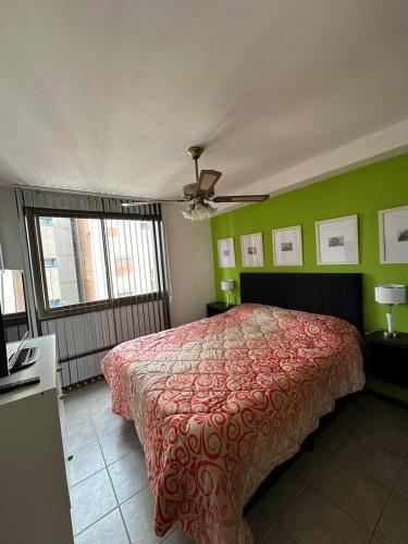 One-Bedroom Apartment image 7