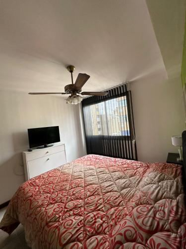 One-Bedroom Apartment image 1