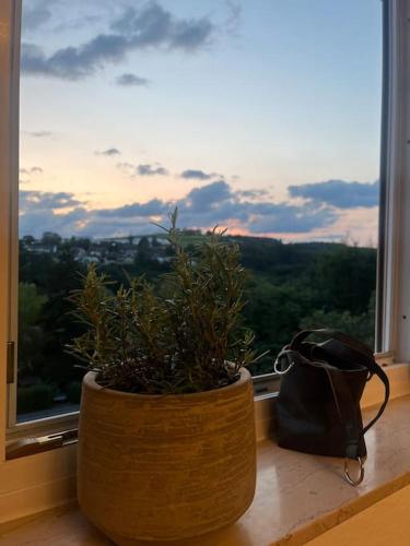 View, Apartment ForYou in Bad Salzschlirf