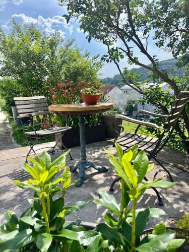 Garden, Apartment ForYou in Bad Salzschlirf