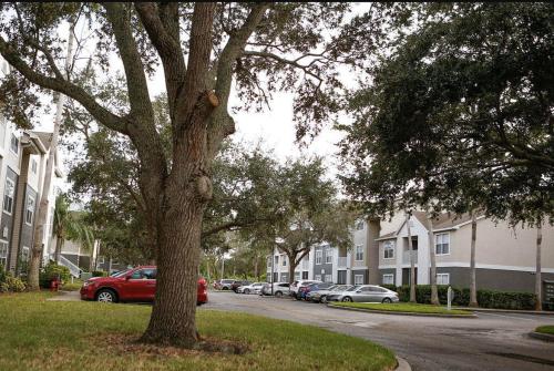 Landing at Champions Walk - 1 Bedroom in South Bradenton in Bradenton, USA