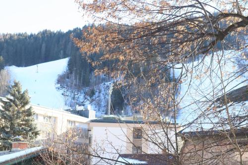 Jasmin - image 9