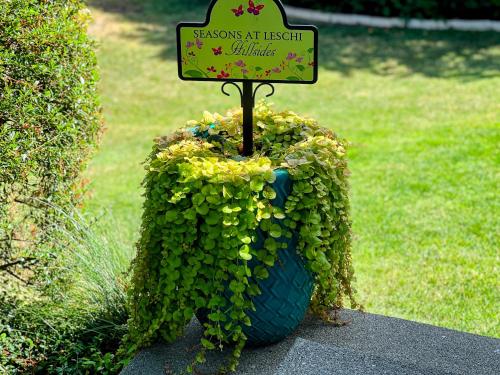 Seasons at Leschi Hillsides, Seattle (fotografie 9)