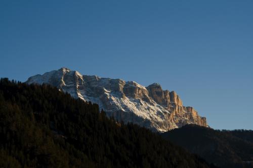 Piculin Alpin Apartments