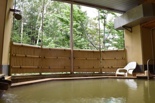 溫泉, 公園山飯店 (Hotel Park Hills) near 白金青池