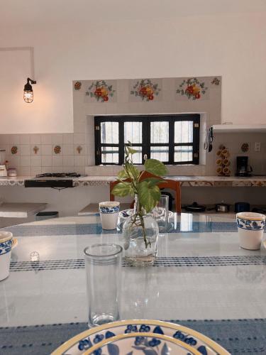 Kitchen, Villa X'Cocay in San Francisco