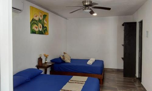Villas Carlota Cancún, Cancún (photo 5)