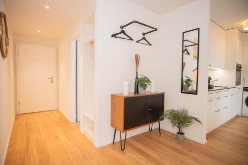 Top floor studio with terrace and free BaselCard, Basilea (foto 8)