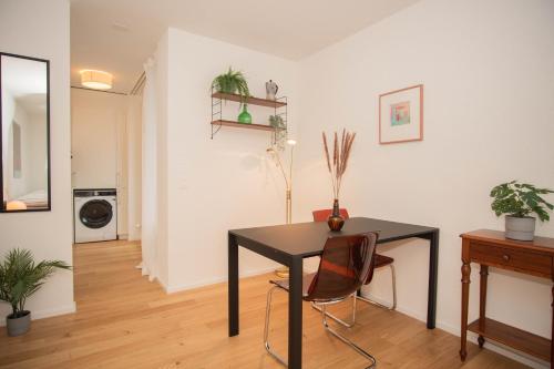 Top floor studio with terrace and free BaselCard, Basilea (foto 11)