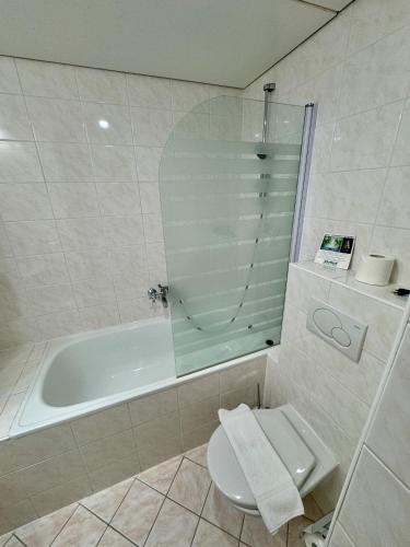 A-Austerlitz Hotel - image 10