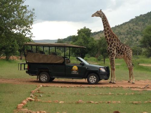 Kedar Heritage Lodge, Conference Centre & Spa
