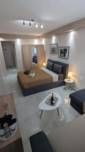 普拉塔諾斯 Studio Center 2星级 单人房 套房