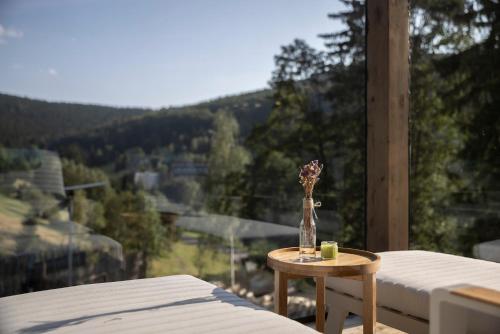 596276099 Pytloun Wellness Hotel Harrachov