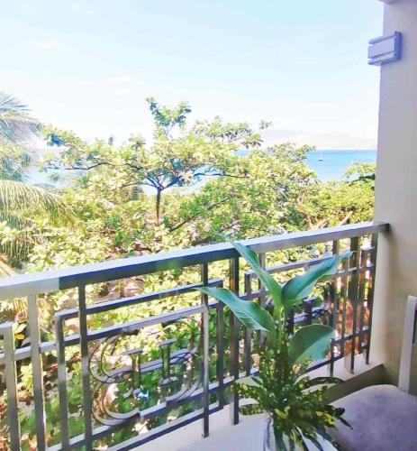 수빅 그랜드 하버 호텔 수빅 베이 (Subic Grand Harbour Hotel Subic Bay) in 수빅 (잠발레스)