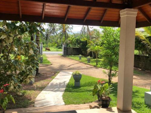 C J Beach Resort - image 6