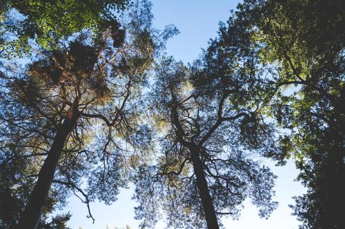 Knusse retreat midden op de Veluwe in มิคเคเลนเบิร์ก